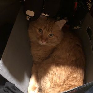 Meet your Posher, Candice